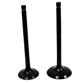 Engine valve pair, black finish, for Yamaha ATV models YFM200/225/250 by ATV City