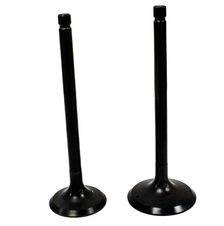 Engine valve pair, black finish, for Yamaha ATV models YFM200/225/250 by ATV City