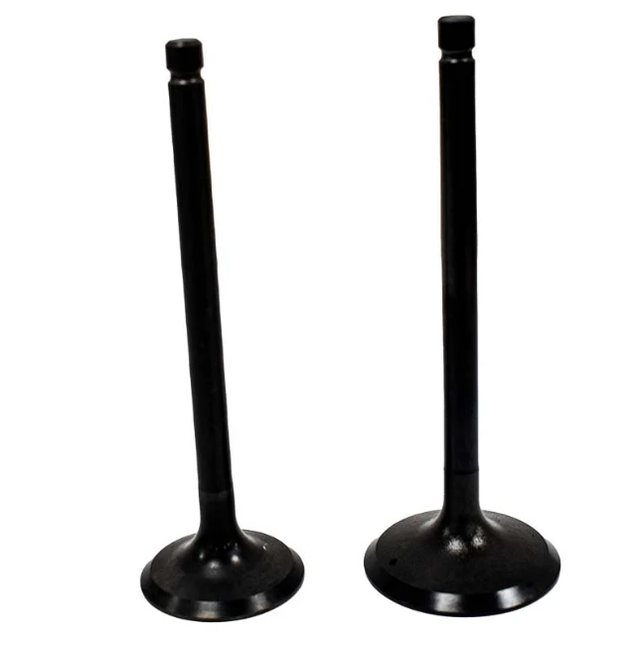 Engine valve pair, black finish, for Yamaha ATV models YFM200/225/250 by ATV City