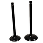 Engine valve pair, black finish, for Yamaha ATV models YFM200/225/250 by ATV City