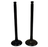 Engine valve pair set (2) for Suzuki QuadRunner LT160E/LT F160, intake and exhaust, black metal