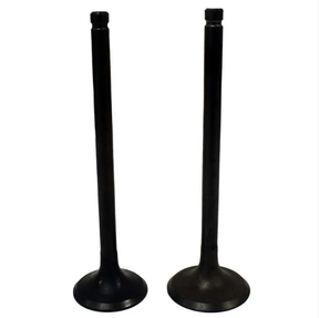 Engine valve pair set (2) for Suzuki QuadRunner LT160E/LT F160, intake and exhaust, black metal