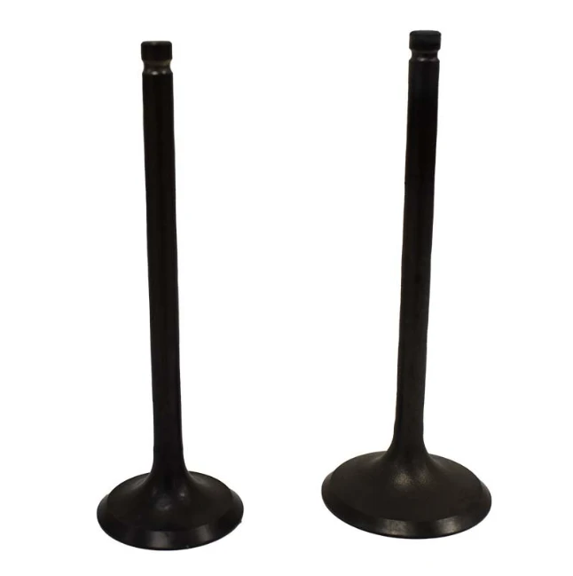 Engine valve pair for Suzuki LT250 Quadrunner and LTF300 King Quad (1988–2002); black metal valves.