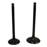 Engine valve pair for Suzuki LT250 Quadrunner and LTF300 King Quad (1988–2002); black metal valves.