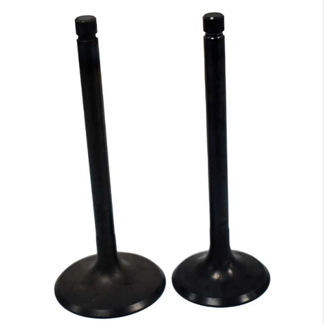 Engine valves pair (2) in black finish by ATV City for Kawasaki KVF360 Prairie intake and exhaust.