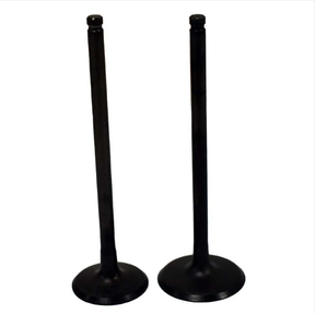 Engine valve pair (2) for Kawasaki KVF650/700/750 KSV700 ATVs, ATV City, black metal, OEM quality
