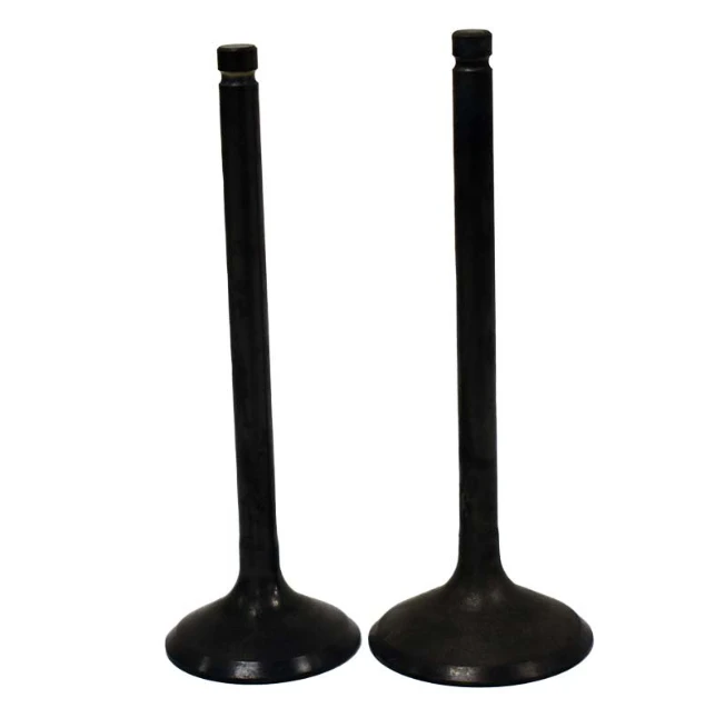 Engine Valve Pair for Kawasaki KLF220 Bayou (1988-2002) and KLF250 Bayou (2003-2011) - black ATV City