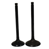 Engine Valve Pair for Kawasaki KLF220 Bayou (1988-2002) and KLF250 Bayou (2003-2011) - black ATV City