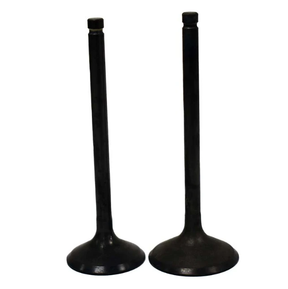 Engine Valve Pair for Kawasaki KLF220 Bayou (1988-2002) and KLF250 Bayou (2003-2011) - black ATV City