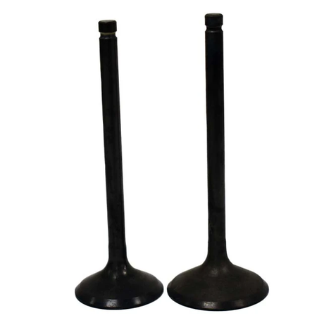Engine Valve Pair for Kawasaki KLF220 Bayou (1988-2002) and KLF250 Bayou (2003-2011) - black ATV City