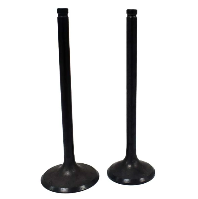 Engine valve pair for Honda TRX250 TE TM 2002-2025, ATV City intake & exhaust valves, black finish