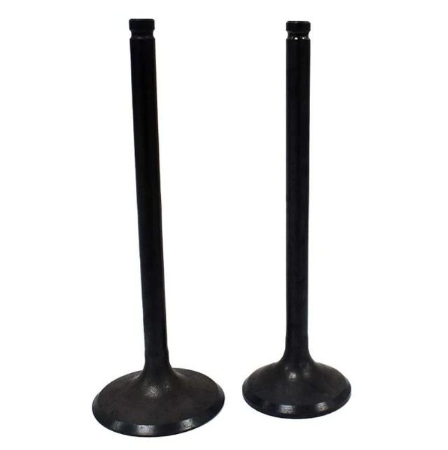 Engine valve pair for Honda TRX250 TE TM 2002-2025, ATV City intake & exhaust valves, black finish