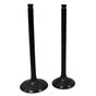 Engine valve pair for Honda TRX250 TE TM 2002-2025, ATV City intake & exhaust valves, black finish