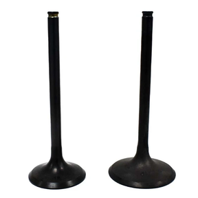 Engine Valves pair for Honda TRX450R 2004-2005, black metal intake and exhaust valves