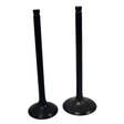 Engine valve pair for Honda TRX200EX (2001–2008): intake and exhaust, black metal, ATV City