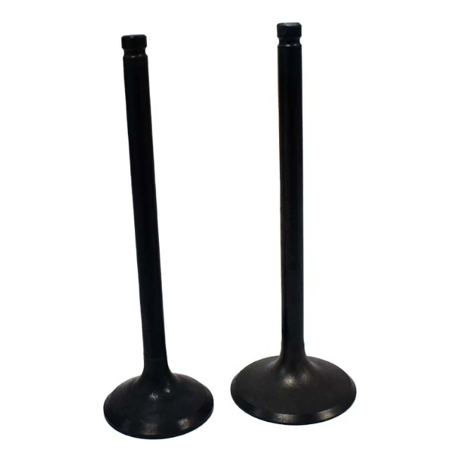 Engine valve pair for Honda TRX200EX (2001–2008): intake and exhaust, black metal, ATV City