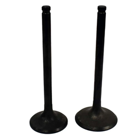 Engine valve pair for Honda TRX250 Recon 1997–2001, intake & exhaust, black metal, 2 valves