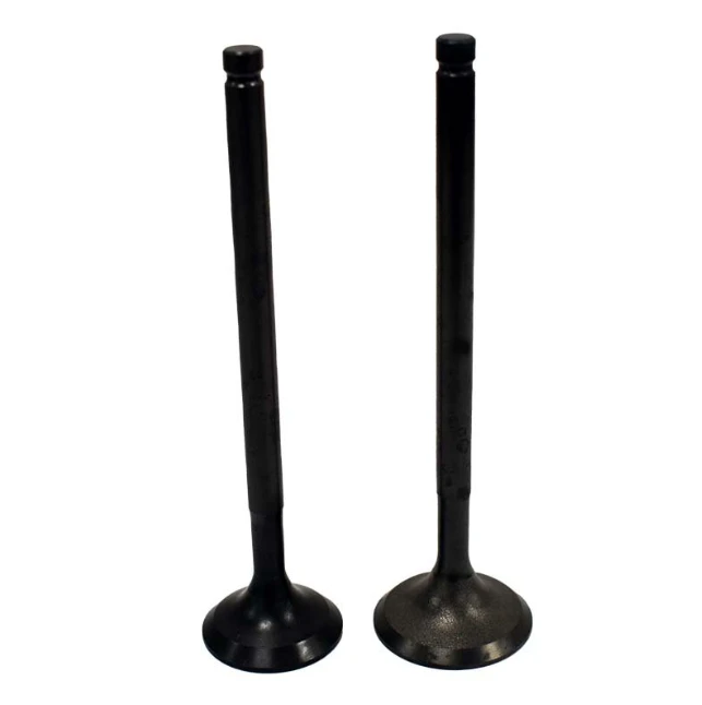 Engine Valve Pair, black metal, for Honda TRX250X/TRX300EX (1987–2008)