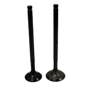 Engine Valve Pair, black metal, for Honda TRX250X/TRX300EX (1987–2008)