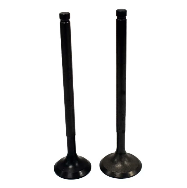 Engine Valve Pair, black metal, for Honda TRX250X/TRX300EX (1987–2008)