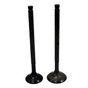 Engine Valve Pair, black metal, for Honda TRX250X/TRX300EX (1987–2008)