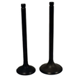 Engine Valve Pair for Honda ATC200X/TRX200/TRX200D/TRX200SX (1983–1997), black, ATV City