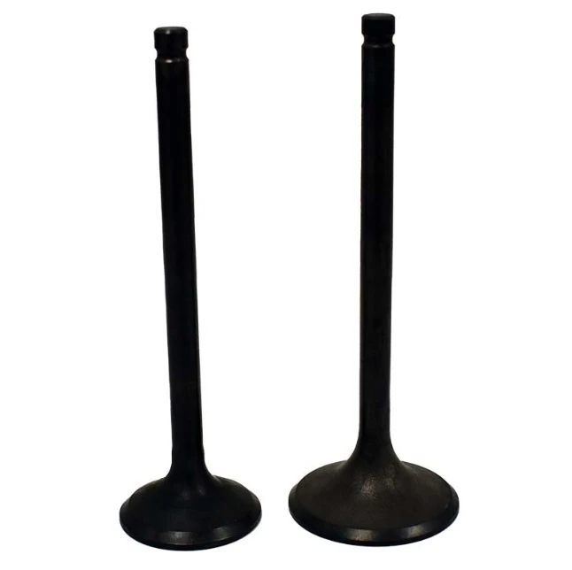 Engine Valve Pair for Honda ATC200X/TRX200/TRX200D/TRX200SX (1983–1997), black, ATV City
