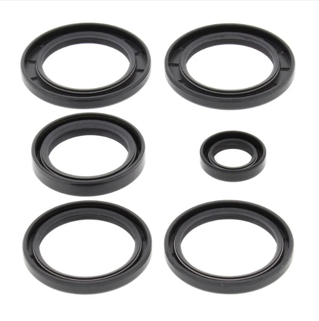 Rear differential seal kit fits Kawasaki KVF Prairie 360A/360B 2003–2007; includes six black seals