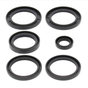 Rear differential seal kit fits Kawasaki KVF Prairie 360A/360B 2003–2007; includes six black seals