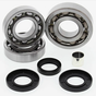 Polaris front differential bearing and seal kit for 2002–2003 4x4 ATVs including 500 Pro, Magnum 325/330, PTV Series 10