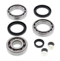 Rear Polaris differential bearing and seal kit; fits Magnum 325 2x4/4x4 00-02, Magnum 500 4x4 99-02; 8-piece set by ATV City