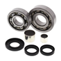 Polaris front differential bearing and seal kit for Magnum 325/4x4 00-02 and Xpedition 325/425 00-02, ATV City, 7-piece kit.