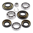 ATV City Honda differential bearing and seal kit, 9-piece rear set for Rincon TRX 650 2003–2005 and TRX 680 2006–2007