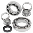 Kawasaki KLF 300B Bayou rear differential bearing and seal kit for 1988–2004 2x4, includes bearings, races and seals