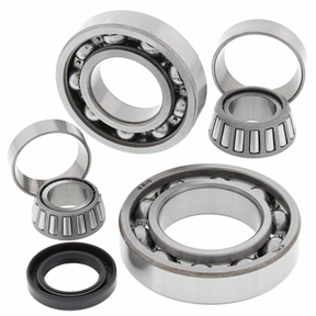 Kawasaki KLF 300B Bayou rear differential bearing and seal kit for 1988–2004 2x4, includes bearings, races and seals