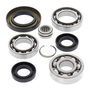 Front differential bearing and seal kit for Honda TRX 350D, 9-piece metal components