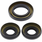 ATV City front differential seal kit; three seals for Honda TRX 300FW and Yamaha YFM 350 Big Bear 98-99, Kodiak 1999.