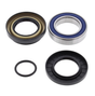 Hyper rear wheel bearing and seal kit for Honda ATV, fits 2000–2025; 4-piece kit with blue-sealed bearings.