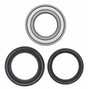 Front Wheel Bearing Kit for Kawasaki Bayou KLF300 and Prairie KVF400 4x4, ATV City OEM fitment incl. bearings and seals