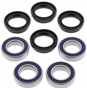 Rear wheel bearing kit (9-piece) for Yamaha YFM660 Grizzly 2002 - blue-sealed bearings, OEM replacement seals, ATV City