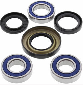 Honda TRX rear wheel bearing and seal kit for ATV with blue-sealed bearings and seals