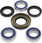 Honda TRX rear wheel bearing and seal kit for ATV with blue-sealed bearings and seals