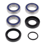Rear wheel bearing and seal kit for Honda TRX 250 97-11, premium direct-fit; blue-sealed bearings with black seals