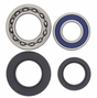 Rear wheel bearing kit; 4-piece set for Yamaha ATVs by ATV City, fits YFM250 Beartracker 1999, YFM600 Grizzly 1998.