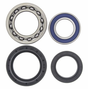 Rear wheel bearing kit, 4-piece with blue seals for Yamaha YFM400/YFM450 Kodiak ATVs (2000–2004) by ATV City