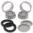Hyper Swing Arm Bearing Kit for Honda ATC250ES/SX, TRX200/TRX250 Recon 97-01; Arctic Cat 250 2x4 06-09 with 2 bearings