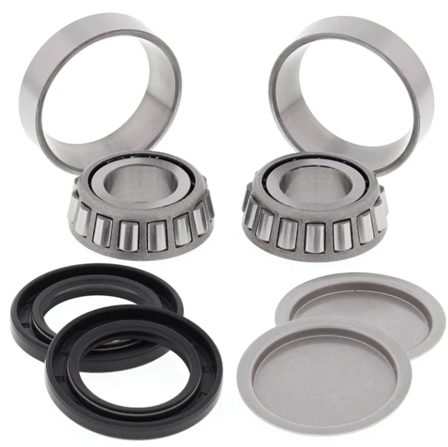 Hyper Swing Arm Bearing Kit for Honda ATC250ES/SX, TRX200/TRX250 Recon 97-01; Arctic Cat 250 2x4 06-09 with 2 bearings
