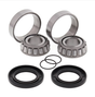 Swing Arm Bearing Kit for Yamaha XP500 2009–2011 VMX/XS/XV; metal bearings with black seals and o-rings (2 each)