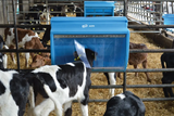 JFC Agri 40kg Mini Creep Feeder mounted on a gate; blue CF80 Ad-Lib calf & young livestock feeder.