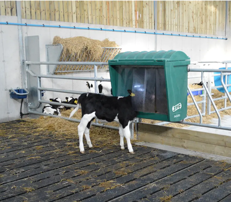 JFC Agri Creep Feeder 60kg gate feeder, green hinged-lid unit in a cattle shed